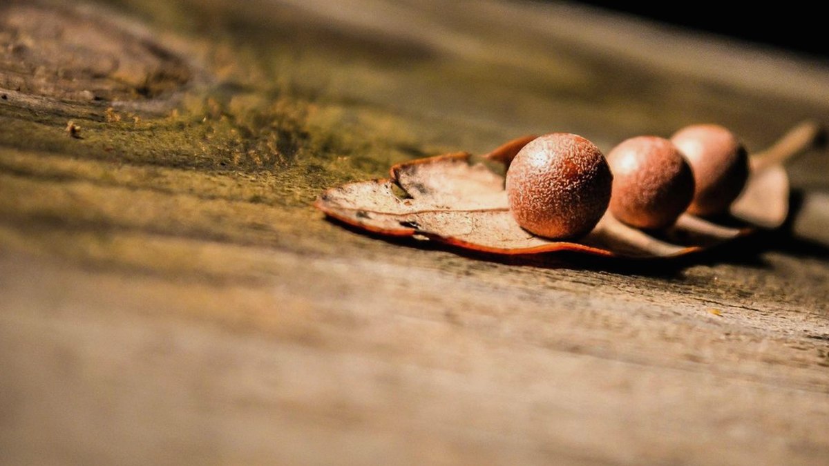 F*** is My Kid's Favorite Word